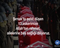 Ülkemizin başı sağ olsun…