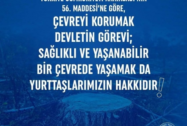 artvin-cankurtaran-ormani